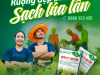 RUỘNG ĐẸP LÀ PHẢI SẠCH LÚA LẪN