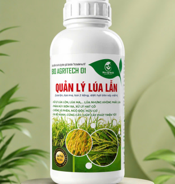 🌱 GIEO SẠ ĐÚNG CÁCH – NỀN TẢNG CHO MỘT VỤ LÚA THÀNH CÔNG! 🌾