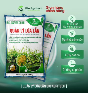 XỬ LÝ RƠM RẠ SAO CHO ĐÚNG 