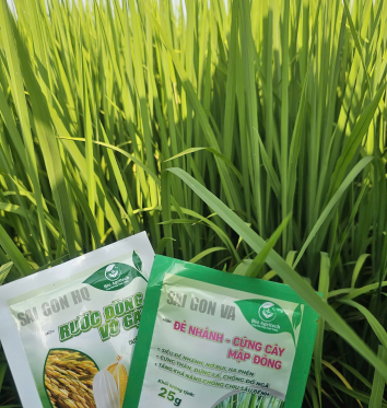 Anh Minh ( ấp Đầu Sấu - Xã Tuyên Bình Tây - Huyện Vĩnh Hưng - Tỉnh Long An cũ)