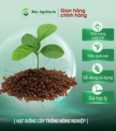 Các loại hạt giống lúa và cây trồng