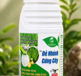 ĐẺ NHÁNH CỨNG CÂY CHAI 240ML 