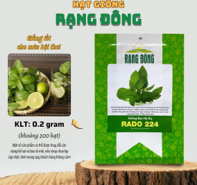 Hạt giống Bạc Hà Âu