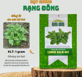 Hạt giống Bạc Hà Chanh