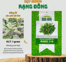 Hạt giống Hương Nhu Ta