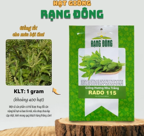 Hạt giống Hương Nhu Trắng