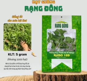 Hạt giống Rau thơm Sả