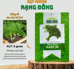 Hạt giống Thì Là
