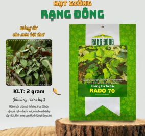 Hạt giống Tía Tô Bắc