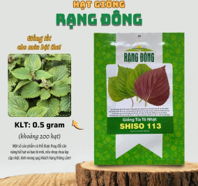 Hạt giống Tía Tô Nhật