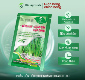 [MIỄN SHIP TỪ 02 GÓI] ĐẺ NHÁNH CỨNG CÂY 250G