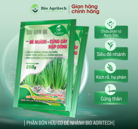 [MIỄN SHIP TẶNG 01 GÓI] COMBO 10 GÓI ĐẺ NHÁNH CỨNG CÂY 250G 