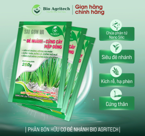 [TẶNG 02 GÓI ] COMBO 20 GÓI ĐẺ NHÁNH CỨNG CÂY 250G 