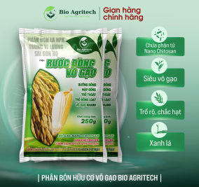[MIỄN SHIP TỪ 02 GÓI] ĐÓN ĐÒNG VÔ GẠO 250G