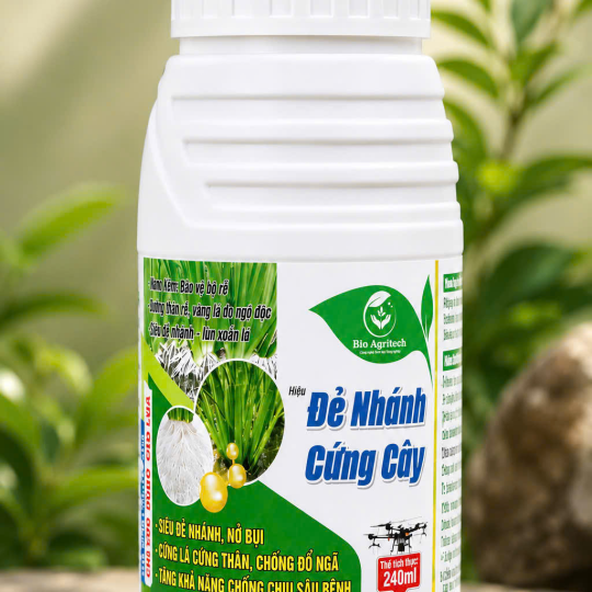 ĐẺ NHÁNH CỨNG CÂY CHAI 240ML 