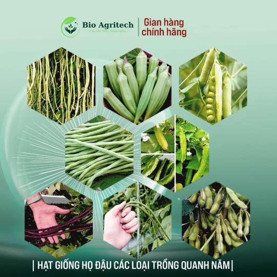 [FREESHIP]Hạt giống Họ Đậu trồng quanh năm, sinh trưởng khỏe, Rau củ quả trồng chậu
