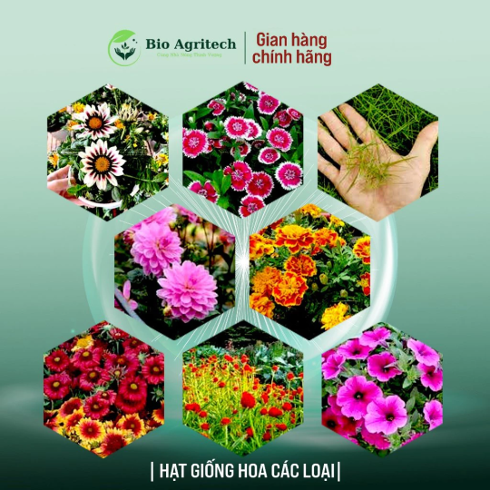 [FREESHIP]Hạt giống Hoa Trồng Chậu, mùa vụ quanh năm, nhiều màu sắc, nhiều kích thước