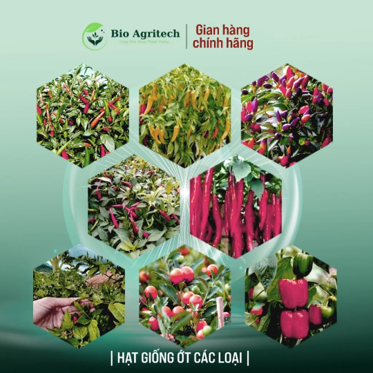 [FREESHIP]Hạt giống Ớt nảy mầm tốt, trồng quanh năm, Hạt giống rau củ quả trồng chậu