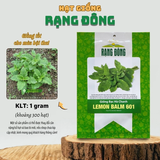 Hạt giống Bạc Hà Chanh