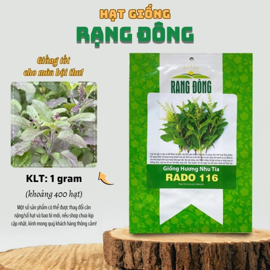 Hạt giống Hương Nhu Ta