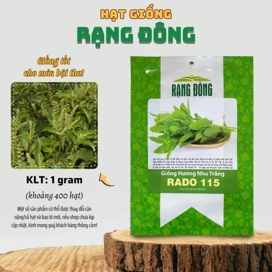 Hạt giống Hương Nhu Trắng