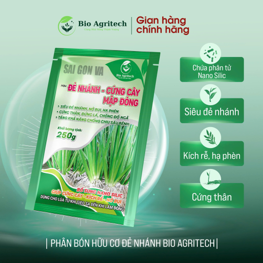[MIỄN SHIP TỪ 02 GÓI] ĐẺ NHÁNH CỨNG CÂY 250G