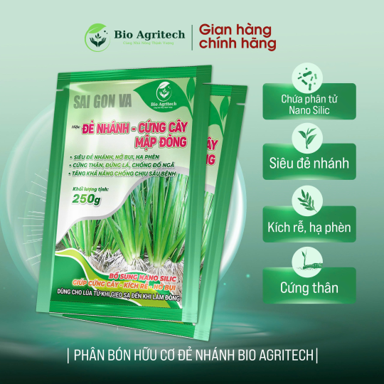 [MIỄN SHIP TẶNG 01 GÓI] COMBO 10 GÓI ĐẺ NHÁNH CỨNG CÂY 250G 