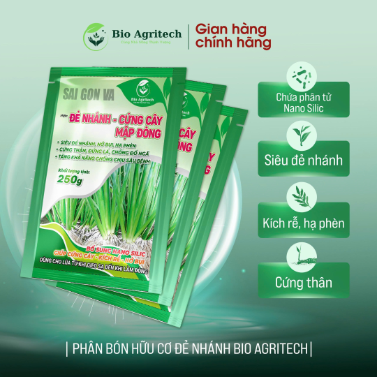 [TẶNG 02 GÓI ] COMBO 20 GÓI ĐẺ NHÁNH CỨNG CÂY 250G 